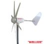 ws-wt 300w wellsee 6 leaves windmill